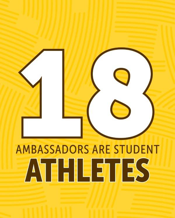 USF Ambassador Facts-1